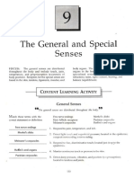 General A, D Especialized Senses