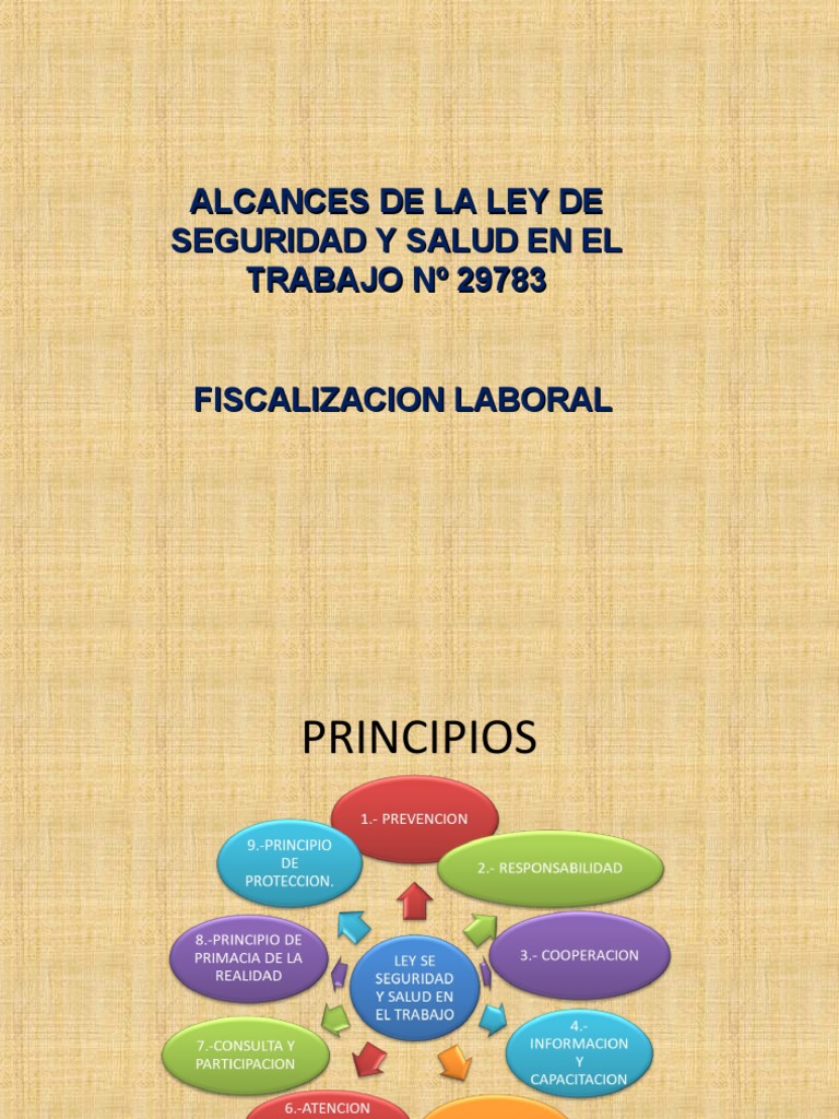 Seguridad y Salud en El Trabajo | PDF | Derecho laboral