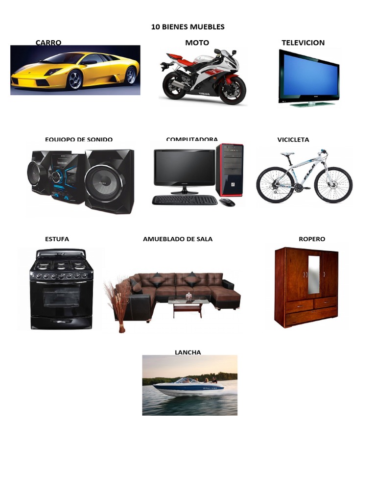 10 Bienes Muebles PDF