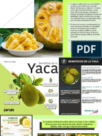 Información Acerca de La Yaca.