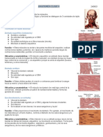 Semana 2 - DOCUMENTO CON APUNTES DE CLASE DE ANATOMÍA