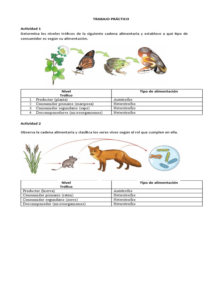 Cadena Trófica | PDF