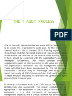 The It Audit Process