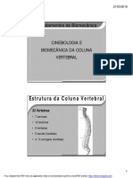 Biomecanica e Cinesiologia Da Coluna Vertebral.