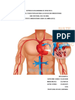 Sistema Cardiovascular Iugc LISTO