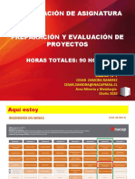 PRESENTACIÓN Nº1 Preparación y Evaluación de Proyectos