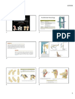 PDF 1.0a Pengantar Kinesiology Neumann-Min