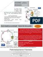 Patomekanisme Lesu Pada Penyakit2