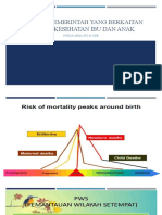 1P. Program Pemerintah Yang Berkaitan Dengan Kesehatan Ibu Dan