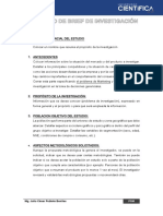 Modelo de Brief de Investigación