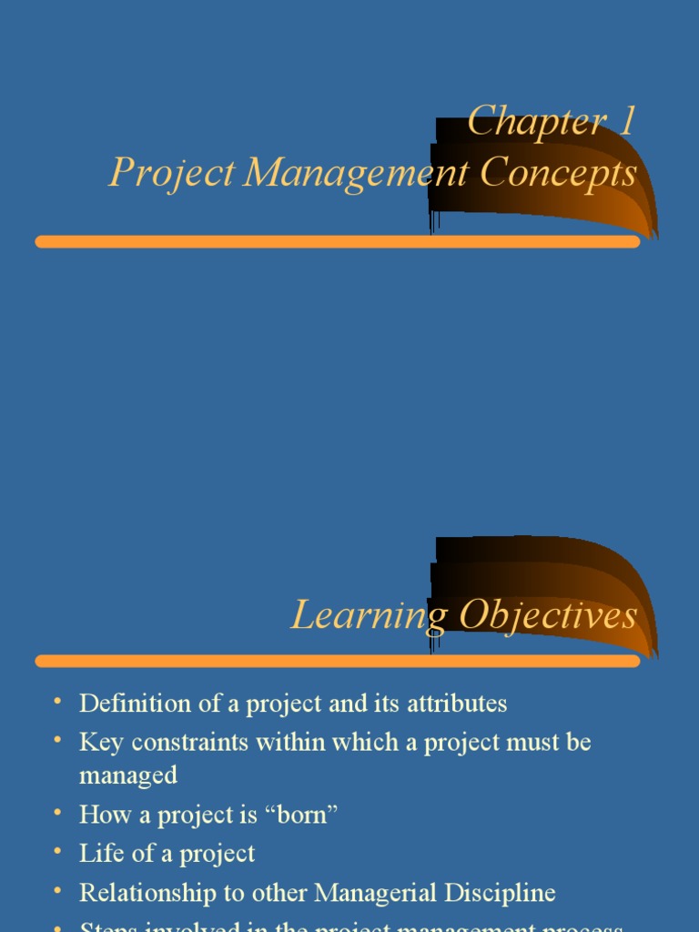 Chap 01 | PDF | Project Management | Business