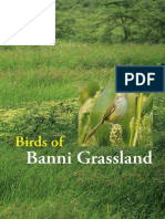 Birds of Banni Grassland