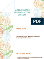 Reproductive System Part 2.Pptx Topic b.2