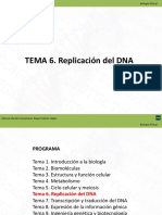 6. Replicacion DNA