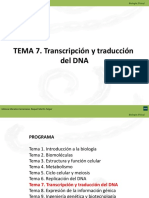 Transcripcion y Traduccion Del DNA