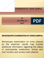 Microscopic Examination of Urine Sample: BY DR - Faisal Ali Lab 4