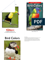 Bird Colors (Level A)