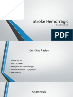 Stroke Hemorragic: Daniel Meichrisdo