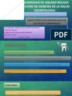 Características Individuales de Las Piezas Temporales