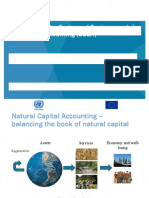 Overview of the System of Environmental-Economic Accounting (SEEA