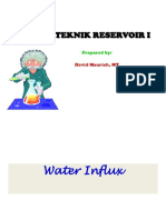 TM-4155 Teknik Reservoir II (Week III-Water Influx)