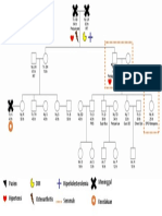 Family Genogram PDF