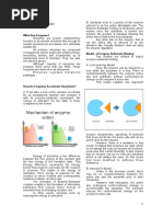 Enzyme Handout