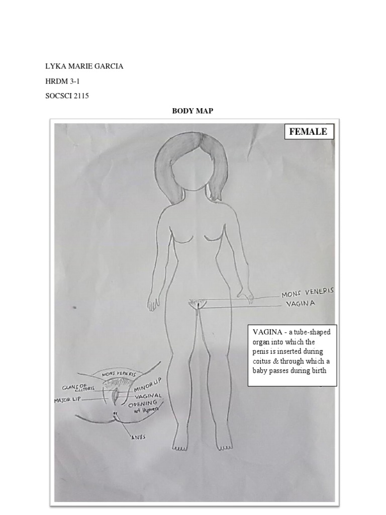 Body Map: Male and Female Anatomy | PDF