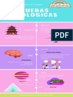 Infografía de Línea de Tiempo Profesional Colorida