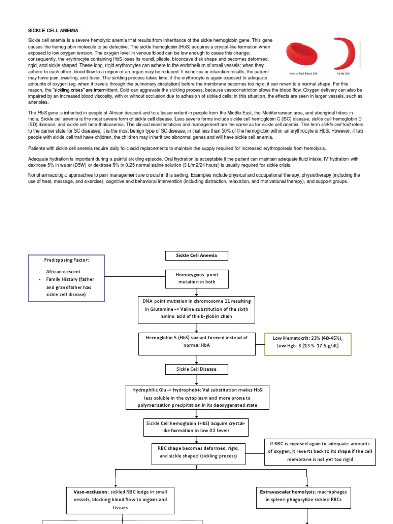 Understanding Sickle Cell Anemia | PDF | Red Blood Cell | Blood Vessel