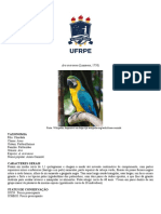 Ficha Biologica Aves