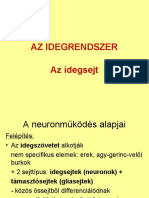 6. Az Idegsejt