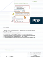 Delimitarea textului în fragmente 