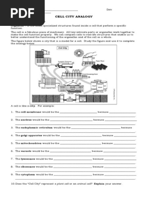 Cell City Analogy Examples