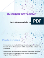 Immunoproteasome: Dania Mohammad Abu Nawas