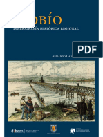 Biobio Bibliografia Historica Regional 2