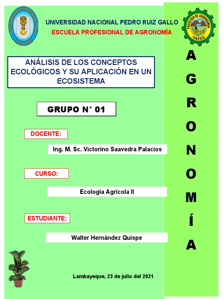 Tarea N°01 - Grupo 01 - Conceptos Ecologicos. | PDF | Ecología | Ecosistema