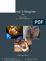Fournier's Gangrene: Yang Lu MS3 AUC School of Medicine