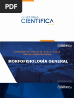 Morfofisiologia General - Histología Clase 7 - Tejido Sanguíneo 2021 - II