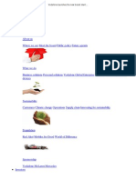 Vodafone launches the new brand identity _power to you_ together with new mobile Internet services - Vodafone