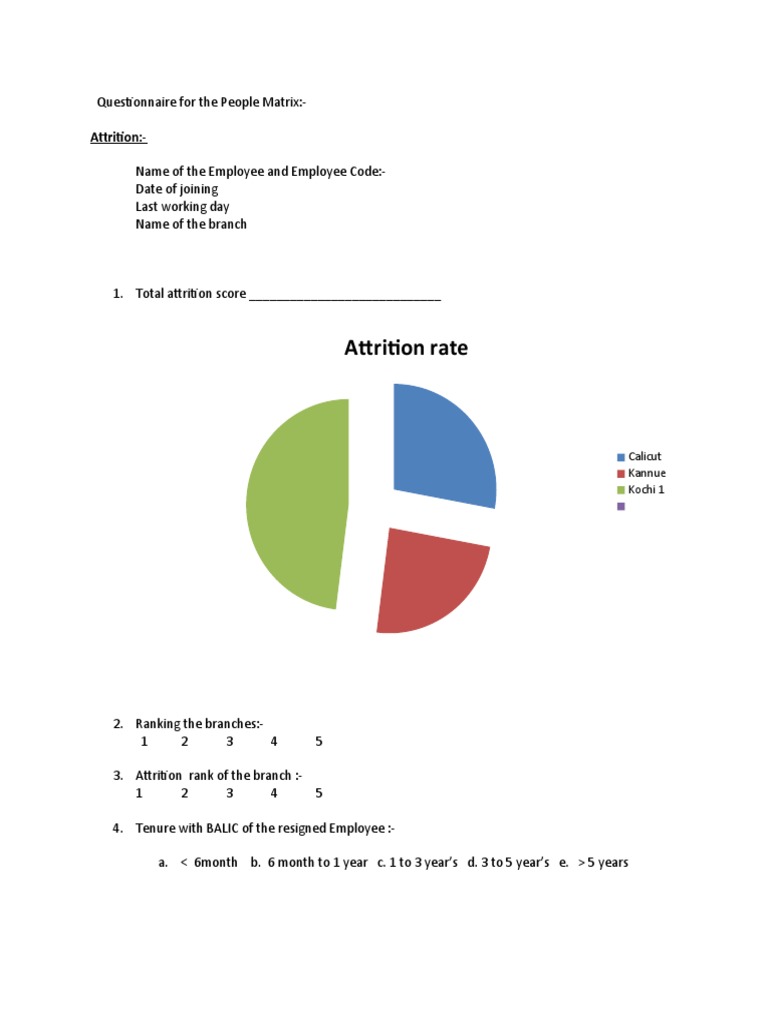 Questionnaire For The People Matrix | PDF