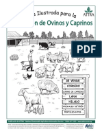 Ovinos Ilustrada