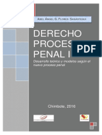 Derecho Procesal Penal I (1)