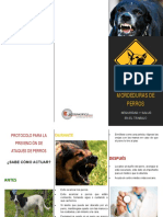 Protocol o Bio Mordedura Perro