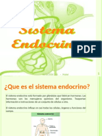 Sistema Endocrino