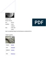 Zooplankton and Phytoplankton Classification