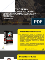 Brochure Depósitos Tipo Skarn Polimetálicos Evolución Geoquímica, Mineralógica y Textural