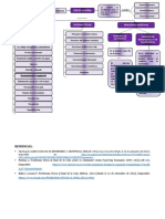 Mapa Fin de La Vida (Informe Bioetica)