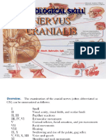 DR Bahrudin-Pmx Nervus Kranialis