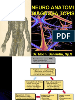 DR Bah - IPS 2 Neuroanatomi 2